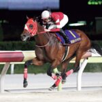 坂井瑠星のONとOFF！【競馬騎手】